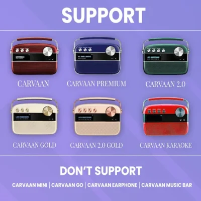 Saregama Carvaan Battery - Image 5